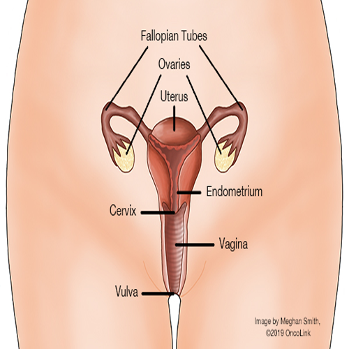 Laparoscopic Procedures